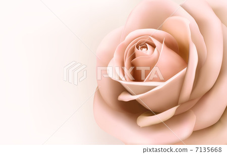 Background with beautiful pink rose. Vector 7135668