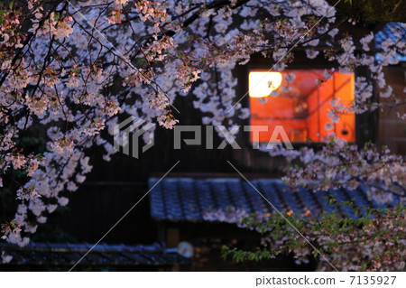 Gion Shirakawa 7135927