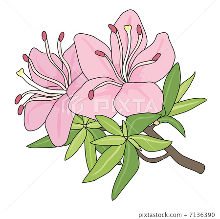 Unzentsutsuji Unzentsutsuji 7136390