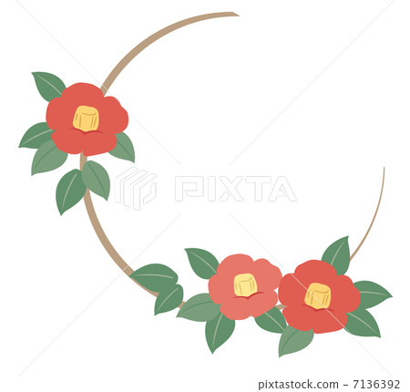 Camellia Camellia 7136392