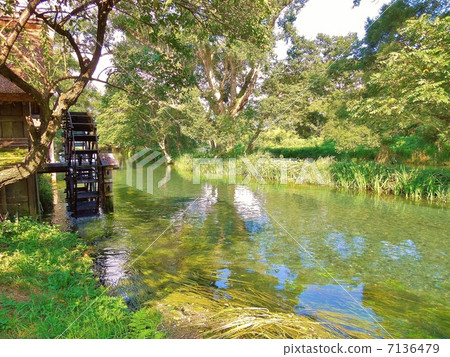 Azumino / summer Azumino / summer 7136479