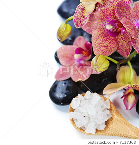 spa composition with beautiful orchid 7137368