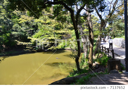 Sanitary washing machine Sanitary washing machine 7137652