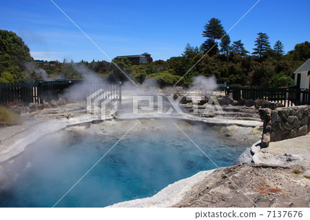 新西蘭·羅托魯瓦 7137676