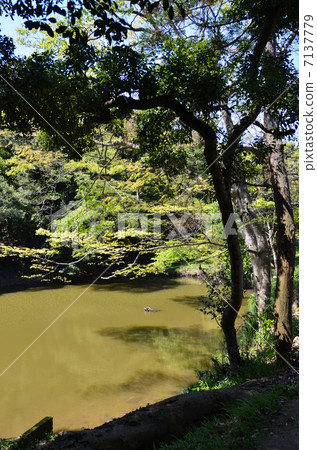 衛生清洗機 衛生清洗機 7137779