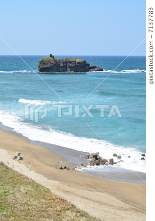 White rabbit coast 7137783