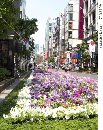 Miyuki dori花節 Miyuki dori花節 7138309