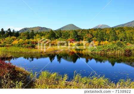 Lily Leng Autumn leaves 7138922