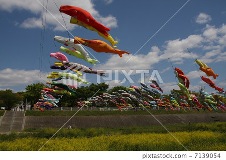 春天的孩子 春天的孩子 7139054