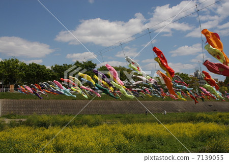 春天的孩子 7139055