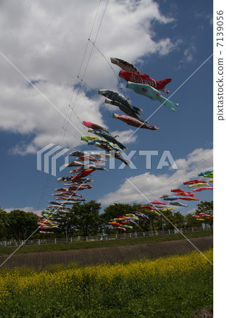 春天的孩子 7139056