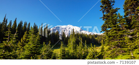 Mt.Rainier Mt.Rainier 7139107