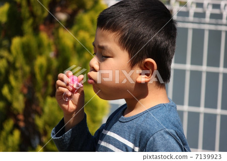 肥皂泡 肥皂泡 7139923