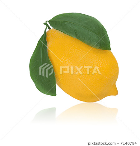 fresh lemon citrus with green leaves isolated on white backgroun 7140794