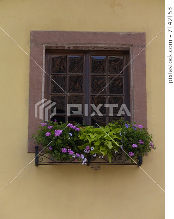 Alsace's window 7142153