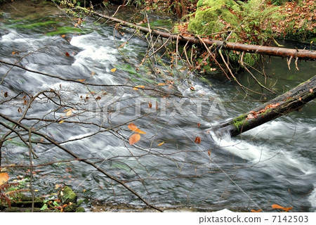 Dirty stream 7142503
