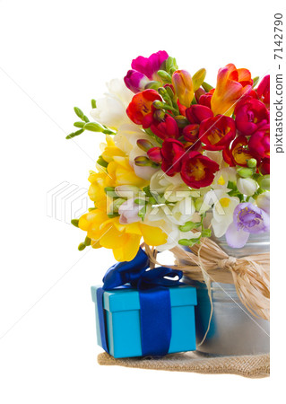 multicolored freesia flowers with gift box multicolored freesia flowers with gift box 7142790