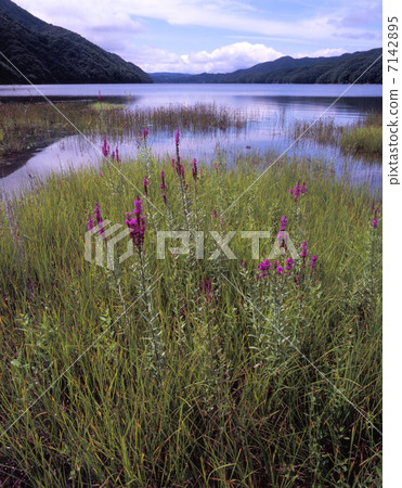 夏末秋元湖 7142895