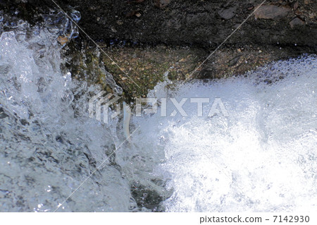 天然香魚的上游 7142930