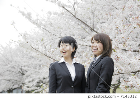 Freshman Freshman 7145312