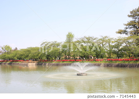 8 is the fountain of the pond 7145443