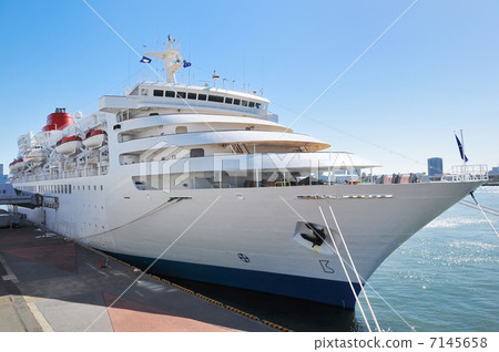 luxury liner luxury liner 7145658