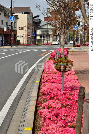 在Tatebayashi·花城清潔街附近散步 7145868