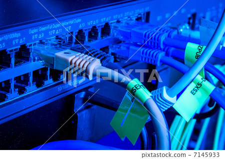 network cables 7145933
