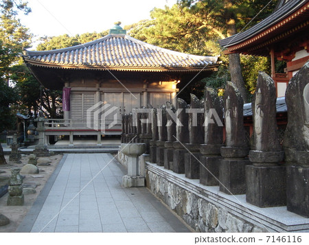 38th Kimono Fukusera 7146116