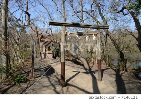 Shakujii Park Shrine 7146121