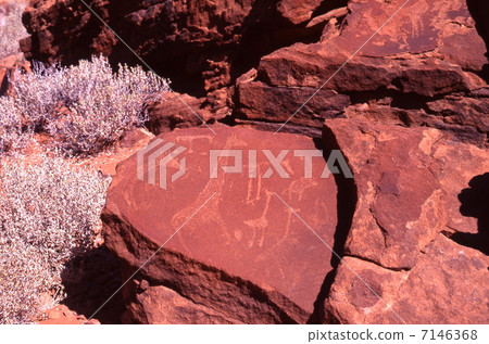 Twowy full fontane's line drawing 7146368