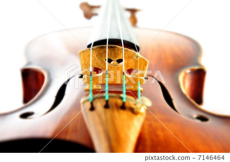 小提琴 小提琴 7146464