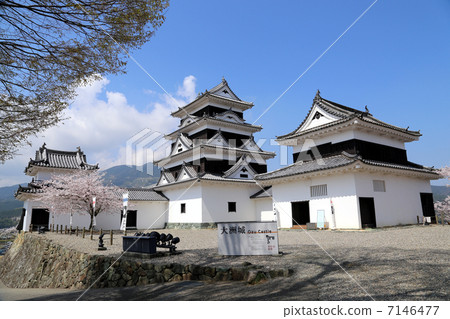 小津城和櫻花 7146477