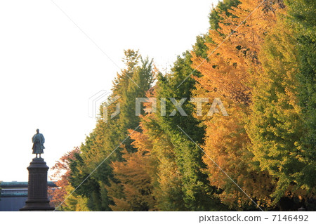 Yasukuni Shrine 7146492
