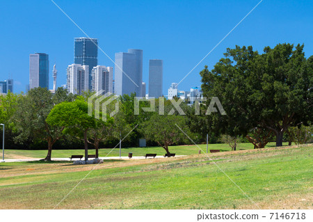 Park and skyscrapers 7146718
