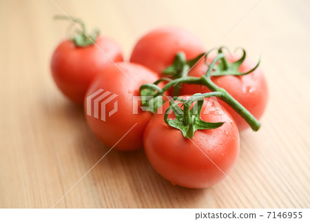 放番茄 7146955