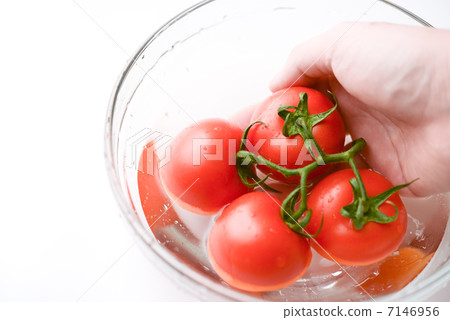 西紅柿和碗 7146956