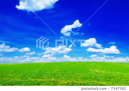 spring meadow 7147302