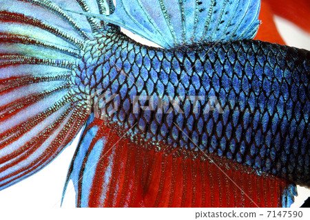 Better up Better up 7147590