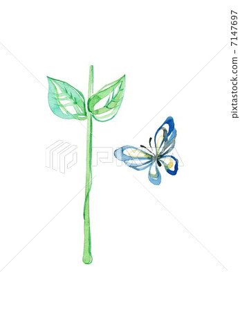 Swallowtail蝴蝶和年輕葉子 7147697