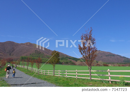 Sesan Plateau 7147723