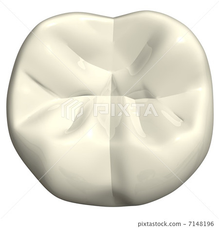 右下第七次手術 7148196