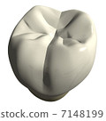 View of lower right occlusal surface 7148199