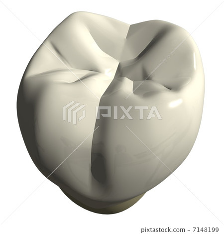 View of lower right occlusal surface 7148199