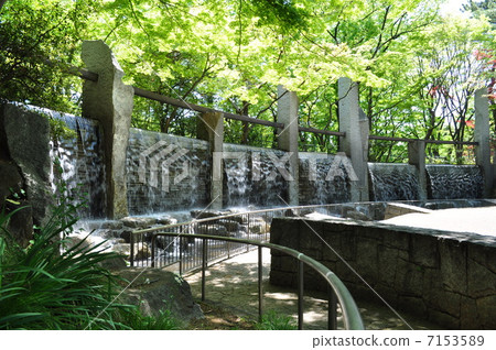 絲綢森林公園的瀑布 7153589