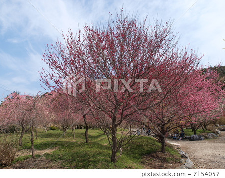 Inabe City Agricultural Park · Bairin Park Inabe City Agricultural Park · Bairin Park 7154057