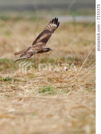 草原上沒什麼 7155378