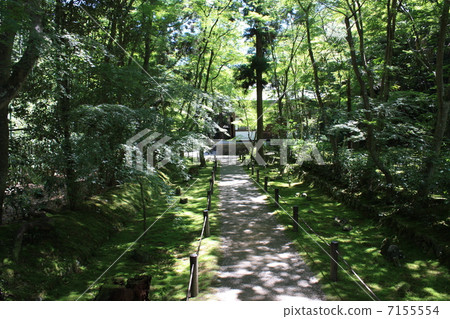 嵐山Jizoin竹寺門 7155554