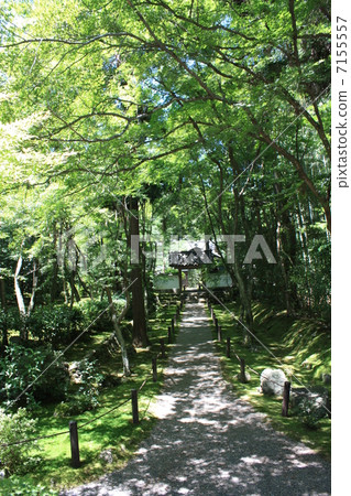 嵐山Jizoin竹寺門 7155557