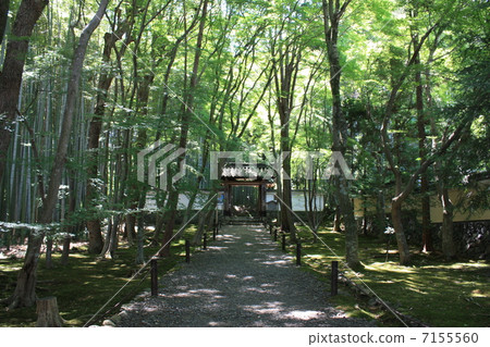 嵐山Jizoin竹寺門 7155560